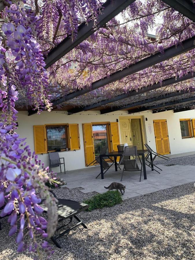 Apartment House Wisteria *
