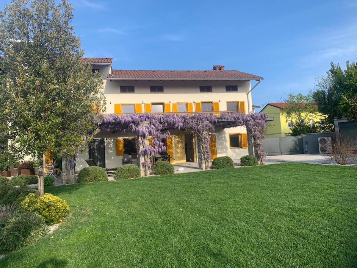 House Wisteria