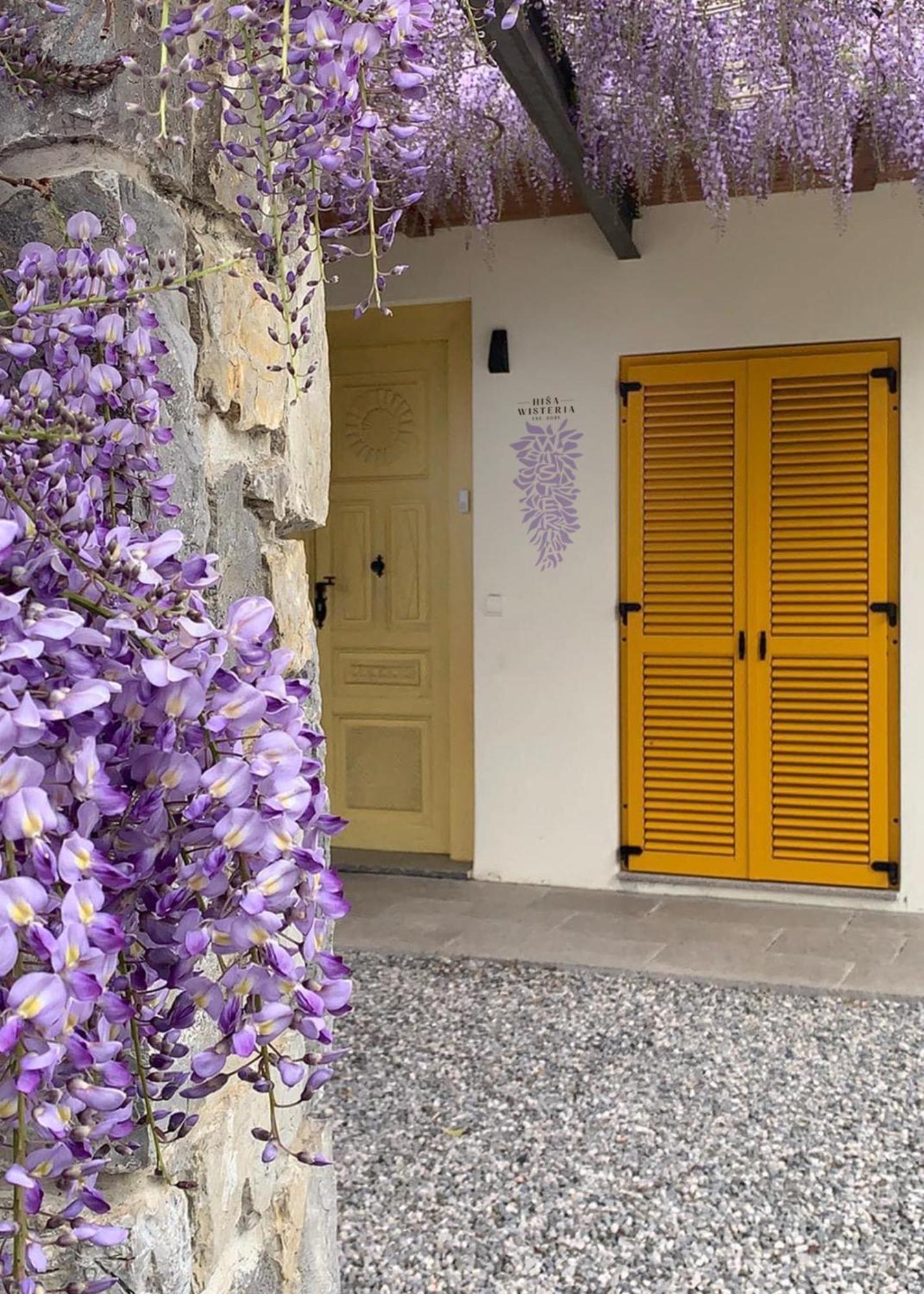 House Wisteria