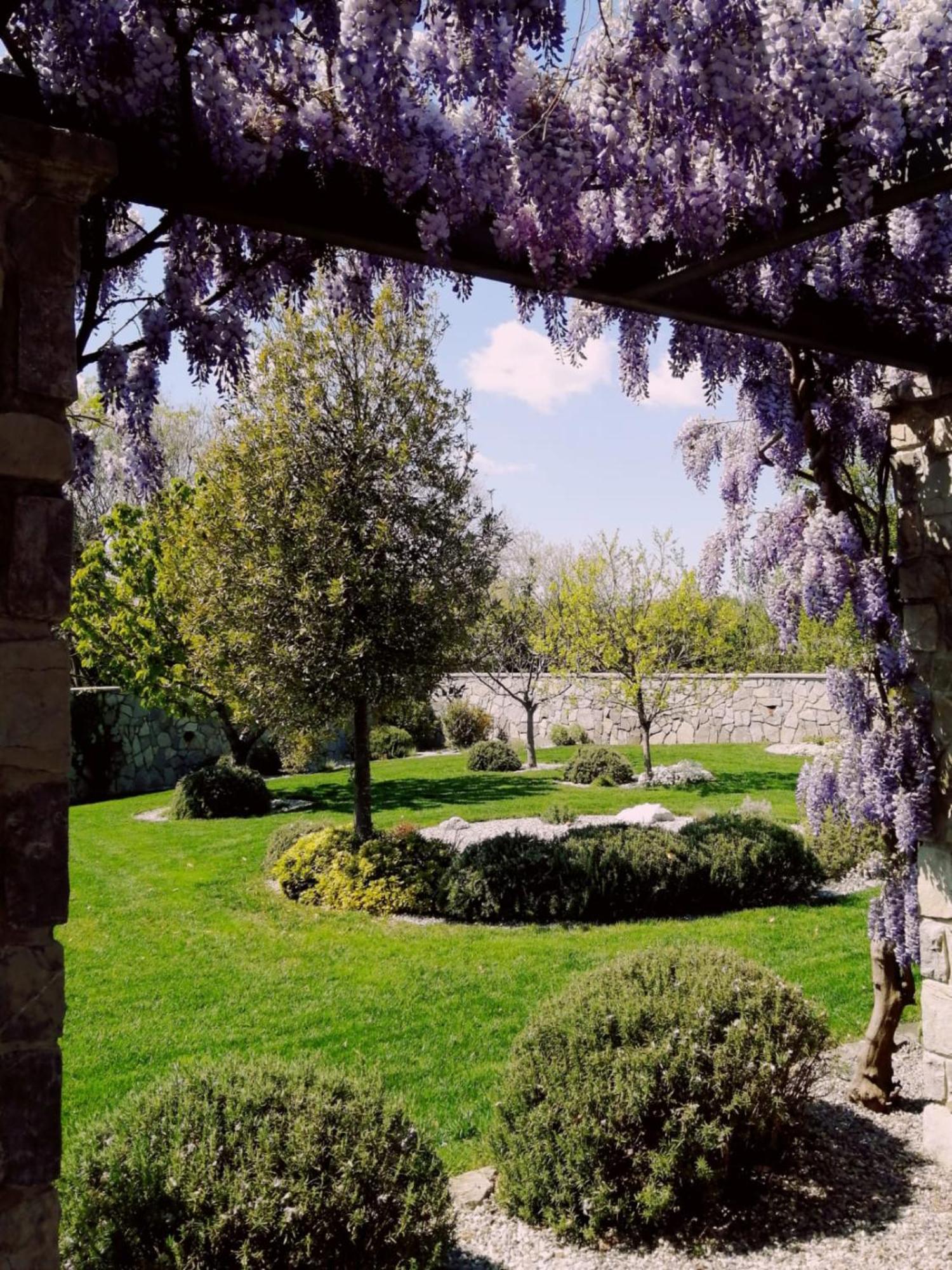 Apartment House Wisteria *
