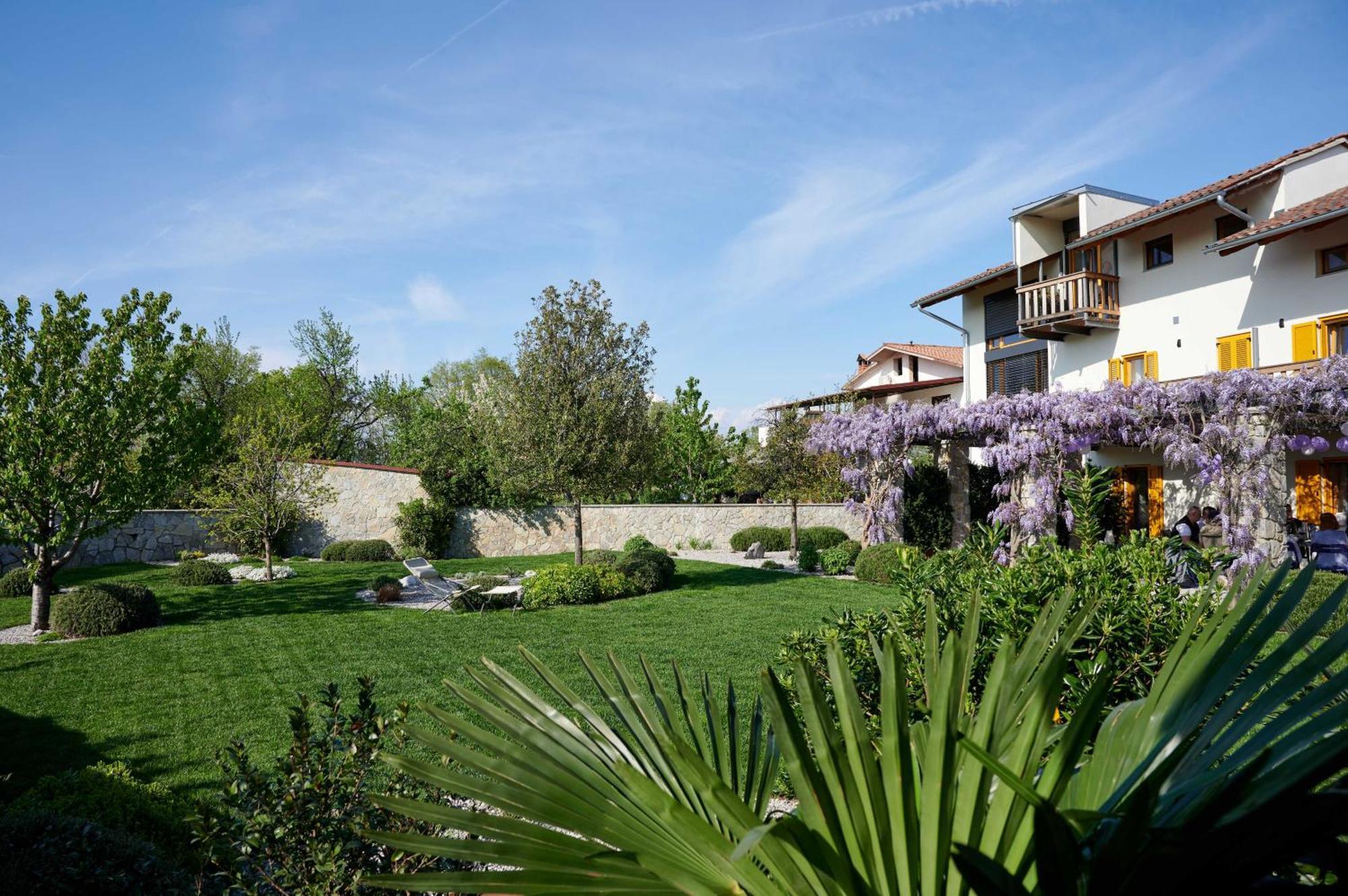 House Wisteria *
